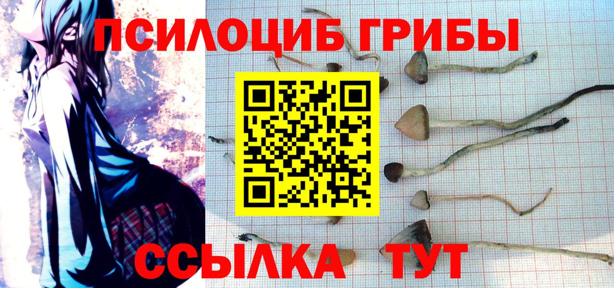 Галлюциногенные грибы Magic Shrooms Южно-Сахалинск