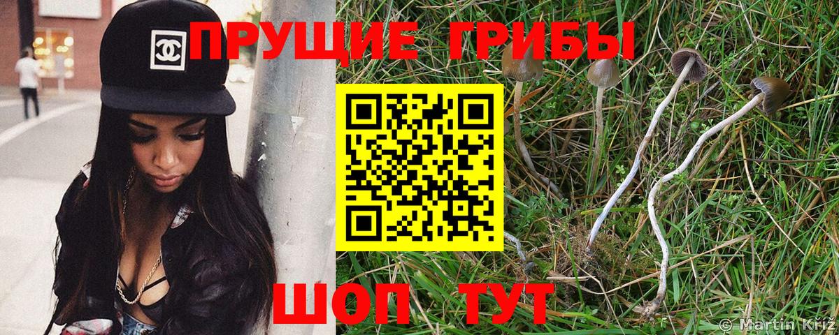 Галлюциногенные грибы прущие грибы  Вход с VPN  Южно-Сахалинск  Галлюциногенные грибы MAGIC MUSHROOMS 